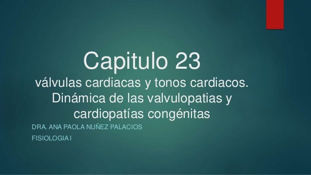 Capitulo 23 2 capitulo 23 1 638