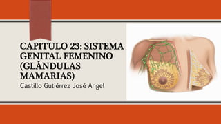 CAPITULO 23: SISTEMA
GENITAL FEMENINO
(GLÁNDULAS
MAMARIAS)
Castillo Gutiérrez José Angel
 