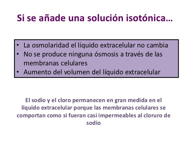 Si se aÃ±ade una soluciÃ³n isotÃ³nicaâ¦â¢ La osmolaridad el lÃ­quido extracelular no cambiaâ¢ No se produce ninguna Ã³smosis a tra...