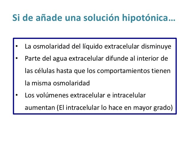 Si de aÃ±ade una soluciÃ³n hipotÃ³nicaâ¦â¢ La osmolaridad del lÃ­quido extracelular disminuyeâ¢ Parte del agua extracelular difun...