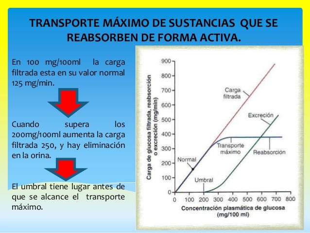 Resultado de imagen para transporte máximo