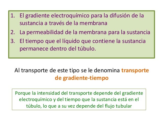 Resultado de imagen para transporte de gradienteÂ-tiempo