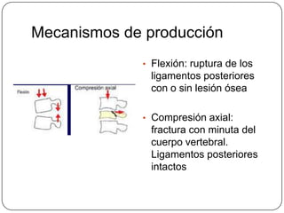 Mecanismos de producción
             • Flexión: ruptura de los
              ligamentos posteriores
              con o sin lesión ósea

             • Compresión axial:
              fractura con minuta del
              cuerpo vertebral.
              Ligamentos posteriores
              intactos
 