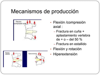 Mecanismos de producción
             • Flexión /compresión
              axial :
               – Fractura en cuña +
                 aplastamiento vertebra
                 de + o – del 50 %
               – Fractura en estallido
             • Flexión y rotación
             • Hiperextensión
 