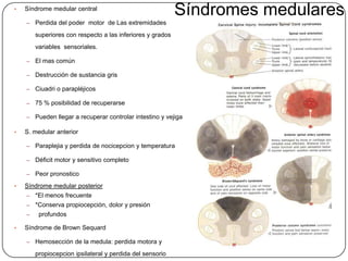 •   Síndrome medular central
                                                            Síndromes medulares
    –   Perdida del poder motor de Las extremidades
        superiores con respecto a las inferiores y grados
        variables sensoriales.

    –   El mas común

    –   Destrucción de sustancia gris

    –   Ciuadri o parapléjicos

    –   75 % posibilidad de recuperarse

    –   Pueden llegar a recuperar controlar intestino y vejiga

•   S. medular anterior

    –   Paraplejia y perdida de nocicepcion y temperatura

    –   Déficit motor y sensitivo completo

    –   Peor pronostico
•   Síndrome medular posterior
    –   *El menos frecuente
    –   *Conserva propiocepción, dolor y presión
    –    profundos

•   Síndrome de Brown Sequard

    –   Hemosección de la medula: perdida motora y
        propiocepcion ipsilateral y perdida del sensorio
 