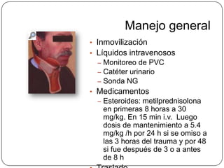 Manejo general
• Inmovilización
• Líquidos intravenosos
  – Monitoreo de PVC
  – Catéter urinario
  – Sonda NG
• Medicamentos
  – Esteroides: metilprednisolona
   en primeras 8 horas a 30
   mg/kg. En 15 min i.v. Luego
   dosis de mantenimiento a 5.4
   mg/kg /h por 24 h si se omiso a
   las 3 horas del trauma y por 48
   si fue después de 3 o a antes
   de 8 h
 