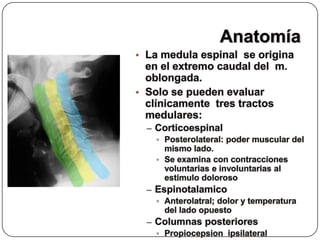 Choque medular