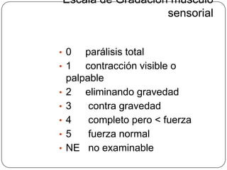 Escala de Gradación musculo
                       sensorial


• 0     parálisis total
•   1 contracción visible o
    palpable
•   2 eliminando gravedad
•   3    contra gravedad
•   4    completo pero < fuerza
•   5    fuerza normal
•   NE no examinable
 