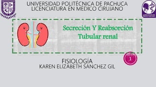 1
Secreción Y Reabsorción
Tubular renal
 