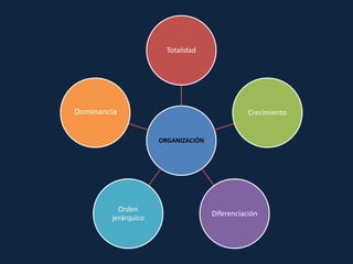 Totalidad

Dominancia

Crecimiento

ORGANIZACIÓN

Orden
jerárquico

Diferenciación

 