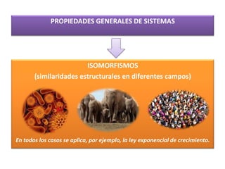 PROPIEDADES GENERALES DE SISTEMAS

ISOMORFISMOS
(similaridades estructurales en diferentes campos)

En todos los casos se aplica, por ejemplo, la ley exponencial de crecimiento.

 