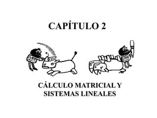 CAPÍTULO 2
CÁLCULO MATRICIAL Y
SISTEMAS LINEALES
 