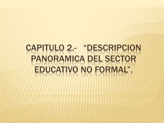 Capitulo 2.-   “DESCRIPCION PANORAMICA DEL SECTOR EDUCATIVO NO FORMAL”. 