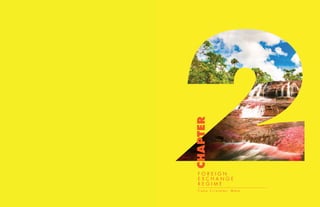 CHAPTER
F O R E I G N
E X C H A N G E
R E G I M E
C a ñ o C r i s t a l e s , M e t a
 