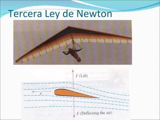 Tercera Ley de Newton 
