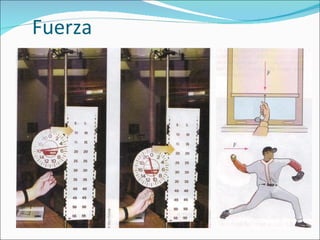 Fuerza 
