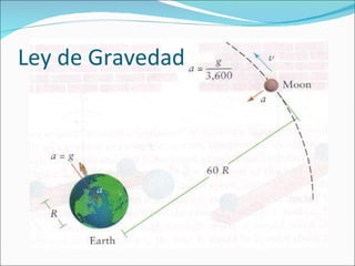Ley de Gravedad 
