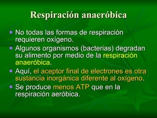 Respiración anaeróbica
   No todas las formas de respiración
    requieren oxígeno.
   Algunos organismos (bacterias) degradan
    su alimento por medio de la respiración
    anaeróbica.
   Aquí, el aceptor final de electrones es otra
    sustancia inorgánica diferente al oxígeno.
   Se produce menos ATP que en la
    respiración aeróbica.
 