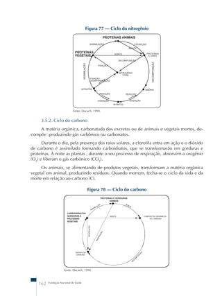 3.5.2. Ciclo do carbono 
A matéria orgânica, carbonatada dos excretas ou de animais e vegetais mortos, de-comp 
õe produzindo gás carbônico ou carbonatos. 
Durante o dia, pela presença dos raios solares, a clorofila entra em ação e o dióxido 
de carbono é assimilado formando carboidratos, que se transformarão em gorduras e 
proteínas. À noite as plantas , durante o seu processo de respiração, absorvem o oxigênio 
(O2) e liberam o gás carbônico (CO2). 
Os animais, se alimentando de produtos vegetais, transformam a matéria orgânica 
vegetal em animal, produzindo resíduos. Quando morrem, fecha-se o ciclo da vida e da 
morte em relação ao carbono (C). 
162 Fundação Nacional de Saúde 
Figura 77 – Ciclo do nitrogênio 
Fonte: Dacach, 1990. 
Figura 78 – Ciclo do carbono 
Fonte: Dacach, 1990. 
 