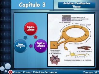 Franco Franco Fabricio Fernando Tercero “B”
 