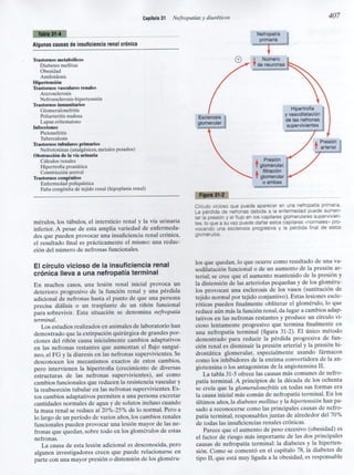 Capitulo 31  nefropatias y diureticos