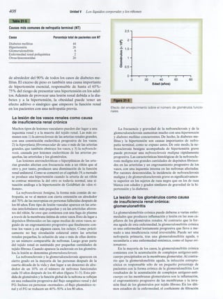 Capitulo 31  nefropatias y diureticos