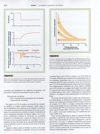 Capitulo 31  nefropatias y diureticos