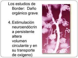 Los estudios de
  Border: Daño
  orgánico grave

4. Estimulación
   neuroendócrin
   a persistente
   altera
   volumen
   circulante y en
   su transporte
   de oxigeno)
 