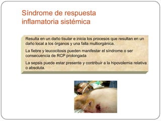 Síndrome de respuesta
inflamatoria sistémica

 Resulta en un daño tisular e inicia los procesos que resultan en un
 daño local a los órganos y una falla multiorgánica.
 La fiebre y leucocitosis pueden manifestar el síndrome o ser
 consecuencia de RCP prolongada
 La sepsis puede estar presente y contribuir a la hipovolemia relativa
 o absoluta.
 