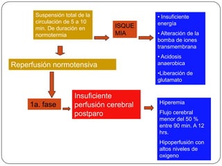 Suspensión total de la              • Insuficiente
      circulación de 5 a 10               energía
      min. De duración en        ISQUE
      normotermia                MIA      • Alteración de la
                                          bomba de iones
                                          transmembrana
                                          • Acidosis
Reperfusión normotensiva                  anaerobica
                                          •Liberación de
                                          glutamato

                     Insuficiente
     1a. fase                             Hiperemia
                     perfusión cerebral
                     postparo             Flujo cerebral
                                          menor del 50 %
                                          entre 90 min. A 12
                                          hrs.
                                          Hipoperfusión con
                                          altos niveles de
                                          oxigeno
 