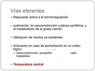 Vías eferentes
 Respuesta activa a la termorregulación


 sudoración, la vasoconstricción cutánea periférica, y
  el metabolismo de la grasa marrón

 Utilización de medios ya existentes


 Activación en caso de perturbación en un orden
  lógico
   Vasoconstricción, escalofrió           calor
    metabólico

 Temperatura central
 