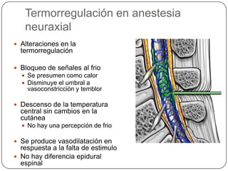 Termorregulación en anestesia
   neuraxial
 Alteraciones en la
  termorregulación

 Bloqueo de señales al frio
   Se presumen como calor
   Disminuye el umbral a
    vasoconstricción y temblor

 Descenso de la temperatura
  central sin cambios en la
  cutánea
   No hay una percepción de frio

 Se produce vasodilatación en
  respuesta a la falta de estimulo
 No hay diferencia epidural
  espinal
 