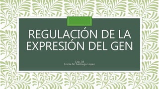REGULACIÓN DE LA
EXPRESIÓN DEL GEN
Cap. 38
Ericka M. Santiago Lopez
 
