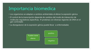 Importancia biomedica
• Los organismos se adaptan a cambios ambientales al alterar la expresión génica
• El control de la transcripción depende de cambios del modo de interacción de
moléculas reguladoras especificas,  proteínas con diversas regiones de DNA en el
gen controlado
• La disregulacion de la expresión génica puede llevar a enfermedades
Pueden tener
efecto:
positivo
negativo
 