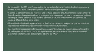 • La ocupación de OR3 por Cro desactiva de inmediato la transcripción desde el promotor, y
de esa manera evita cualquier expresión adicional del gen represor.
• Cuando la concentración de represor Cro se hace bastante alta, finalmente ocupará OR1 y al
hacerlo reduce la expresión de su propio gen, proceso que es necesario para que se realicen
las etapas finales del ciclo lítico. Ambos se unen al DNA usando motivos de dominio de
unión a DNA de hélice-giro-hélice
• El análisis detallado del represor lambda llevó al importante concepto de que las proteínas
reguladoras de la transcripción tienen varios dominios funcionales.
• Los monómeros represores forman dímeros, que interactúan de manera cooperativa entre
sí, y el represor interactúa con la RNA polimerasa para aumentar o bloquear la unión del
promotor o la formación del complejo abierto de RNAP
 