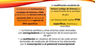 • La histona acetilasa y otras enzimas están asociadas
con correguladores en la regulación de la transcripción
de gen.
• La acetilación en residuos de lisina en las colas amino
terminales de moléculas de histona se ha relacionado
con la transcripción o el potencial transcripcional.
La presencia de nucleosomas y
complejos de histonas y DNA,
proporciona una barrera contra la
asociación fácil de factores de
transcripción con regiones de
DNA especificas.
La modificación covalente de
histona [código de histona] es
un determinante de la actividad
de gen.
Las histonas están sujetas PTM
específicas, dinámicas y
reversibles.
 