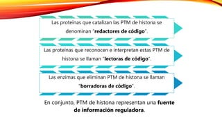 En conjunto, PTM de histona representan una fuente
de información reguladora.
Las proteínas que catalizan las PTM de histona se
denominan “redactores de código”.
Las proteínas que reconocen e interpretan estas PTM de
histona se llaman “lectoras de código”.
Las enzimas que eliminan PTM de histona se llaman
“borradoras de código”.
 