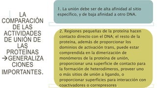 1. La unión debe ser de alta afinidad al sitio
específico, y de baja afinidad a otro DNA.
2. Regiones pequeñas de la proteína hacen
contacto directo con el DNA; el resto de la
proteína, además de proporcionar los
dominios de activación trans, puede estar
comprendida en la dimerización de
monómeros de la proteína de unión,
proporcionar una superficie de contacto para
la formación de heterodímeros, proveer uno
o más sitios de unión a ligando, o
proporcionar superficies para interacción con
coactivadores o correpresores.
LA
COMPARACIÓN
DE LAS
ACTIVIDADES
DE UNIÓN DE
LAS
PROTEÍNAS
GENERALIZA
CIONES
IMPORTANTES.
 