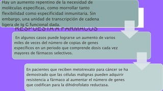 LOS GENES EUCARIÓTICOS SE
PUEDEN AMPLIFICAR O REORDENAR
DURANTE EL DESARROLLO O EN
RESPUESTA A FÁRMACOS
Hay un aumento repentino de la necesidad de
moléculas específicas, como morrollar tanto
flexibilidad como especificidad inmunitaria. Sin
embargo, una unidad de transcripción de cadena
ligera de Ig G funcional dada.
En algunos casos puede lograrse un aumento de varios
miles de veces del número de copias de genes
específicos en un periodo que comprende dosis cada vez
mayores de fármacos selectivos.
En pacientes que reciben metotrexato para cáncer se ha
demostrado que las células malignas pueden adquirir
resistencia a fármaco al aumentar el número de genes
que codifican para la dihidrofolato reductasa.
 