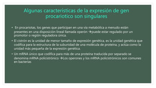 Algunas características de la expresión de gen
procariotico son singulares
• En procariotas, los genes que participan en una vía metabólica a menudo están
presentes en una disposición lineal llamada operón puede estar regulado por un
promotor o región reguladora única.
• El cistrón es la unidad de menor tamaño de expresión genética, es la unidad genética que
codifica para la estructura de la subunidad de una molécula de proteína, y actúa como la
unidad más pequeña de la expresión genética.
• Un mRNA único que codifica para más de una proteína traducida por separado se
denomina mRNA policistrónico Los operones y los mRNA policistrónicos son comunes
en bacterias
 