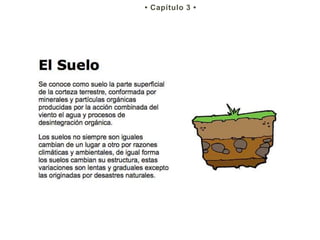 • Capítulo 3 •
 