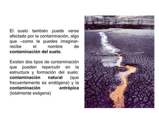El suelo también puede verse
afectado por la contaminación, algo
que –como te puedes imaginar-
recibe el nombre de
contaminación del suelo.
Existen dos tipos de contaminación
que pueden repercutir en la
estructura y formación del suelo:
contaminación natural (que
frecuentemente es endógena) y la
contaminación antrópica
(totalmente exógena)
 