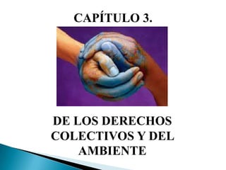 CAPÍTULO 3. DE LOS DERECHOS COLECTIVOS Y DEL AMBIENTE 