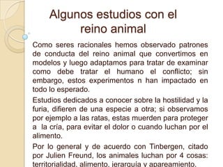 Algunos estudios con el
          reino animal
Como seres racionales hemos observado patrones
de conducta del reino animal que convertimos en
modelos y luego adaptamos para tratar de examinar
como debe tratar el humano el conflicto; sin
embargo, estos experimentos n han impactado en
todo lo esperado.
Estudios dedicados a conocer sobre la hostilidad y la
furia, difieren de una especie a otra; si observamos
por ejemplo a las ratas, estas muerden para proteger
a la cría, para evitar el dolor o cuando luchan por el
alimento.
Por lo general y de acuerdo con Tinbergen, citado
por Julien Freund, los animales luchan por 4 cosas:
territorialidad, alimento, jerarquía y apareamiento.
 
