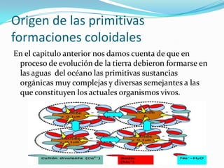 Origen de las primitivas
formaciones coloidales
En el capitulo anterior nos damos cuenta de que en
proceso de evolución de la tierra debieron formarse en
las aguas del océano las primitivas sustancias
orgánicas muy complejas y diversas semejantes a las
que constituyen los actuales organismos vivos.
 