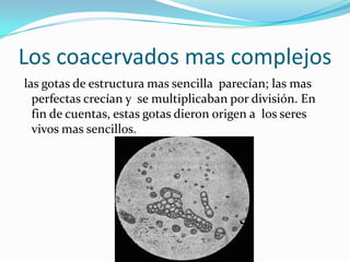 Los coacervados mas complejos
las gotas de estructura mas sencilla parecían; las mas
perfectas crecían y se multiplicaban por división. En
fin de cuentas, estas gotas dieron origen a los seres
vivos mas sencillos.
 