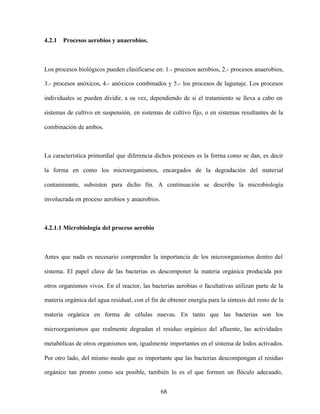 68
4.2.1 Procesos aerobios y anaerobios.
Los procesos biológicos pueden clasificarse en: 1.- procesos aerobios, 2.- procesos anaerobios,
3.- procesos anóxicos, 4.- anóxicos combinados y 5.- los procesos de lagunaje. Los procesos
individuales se pueden dividir, a su vez, dependiendo de si el tratamiento se lleva a cabo en
sistemas de cultivo en suspensión, en sistemas de cultivo fijo, o en sistemas resultantes de la
combinación de ambos.
La característica primordial que diferencia dichos procesos es la forma como se dan, es decir
la forma en como los microorganismos, encargados de la degradación del material
contaminante, subsisten para dicho fin. A continuación se describe la microbiología
involucrada en proceso aerobios y anaerobios.
4.2.1.1 Microbiología del proceso aerobio
Antes que nada es necesario comprender la importancia de los microorganismos dentro del
sistema. El papel clave de las bacterias es descomponer la materia orgánica producida por
otros organismos vivos. En el reactor, las bacterias aerobias o facultativas utilizan parte de la
materia orgánica del agua residual, con el fin de obtener energía para la síntesis del resto de la
materia orgánica en forma de células nuevas. En tanto que las bacterias son los
microorganismos que realmente degradan el residuo orgánico del afluente, las actividades
metabólicas de otros organismos son, igualmente importantes en el sistema de lodos activados.
Por otro lado, del mismo modo que es importante que las bacterias descompongan el residuo
orgánico tan pronto como sea posible, también lo es el que formen un flóculo adecuado,
 