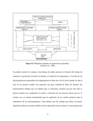 71
Figura 4.1 Multipasos naturales en operaciones anaerobias.
(Grady et al., 1999)
Se pueden resumir las ventajas y desventajas de ambos procesos en función del tiempo de
retención, la generación de lodos de desecho, el control de la temperatura y el control de los
microorganismos responsables de la degradación en cada caso. Por lo cual se puede ver que el
caso de un proceso aerobio nos generaría una gran cantidad de lodos de desecho que
posteriormente tendrían que ser tratados para su utilización, mientras que por otro lado el
proceso aerobio nos complicaría el control y eficiencia de este proceso puesto que no se
contaría con un sistema automatizado para la regulación de los medios propicios para la
subsistencia de los microorganismos. Cabe destacar que las ventajas que ofrece el proceso
anaerobio pueden ser de gran utilidad, como la generación de gas metano y la poca generación
PARTÍCULAS BIODEGRADABLES
COMPLEJAS
PROTEÍNAS Y
CARBOHIDRATOS LÍPIDOS
AMINOÁCIDOS Y AZÚCARES
SIMPLES
CADENAS LARGAS Y ÁCIDOS
GRASOS
ÁCIDOS VOLÁTILES
(ácido propanoico,
ácido butírico , etc)
ÁCIDO ACÉTICO HIDRÓGENO
METANO
(CH4)
f
e
r
m
e
n
t
a
c
i
ó
n
o
x
i
d
a
c
i
ó
n
a
n
a
e
r
o
b
i
a
A
C
I
D
O
G
E
N
E
S
I
S
METANOGENESIS
 