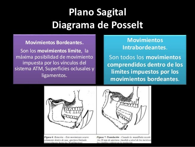 Capitulo 4. oclusion