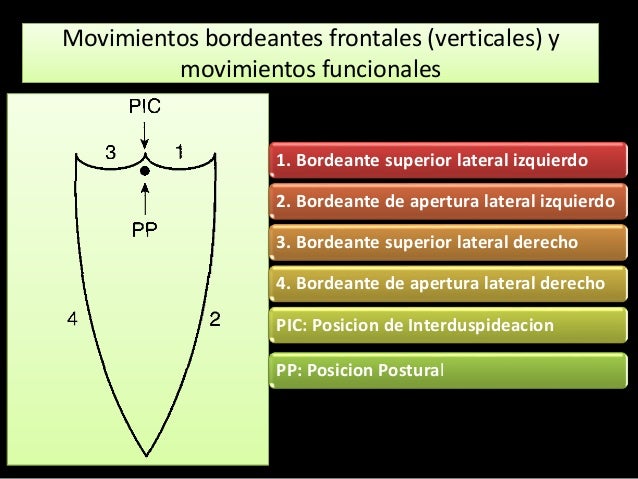 Diagrama De Posselt Plano Frontal